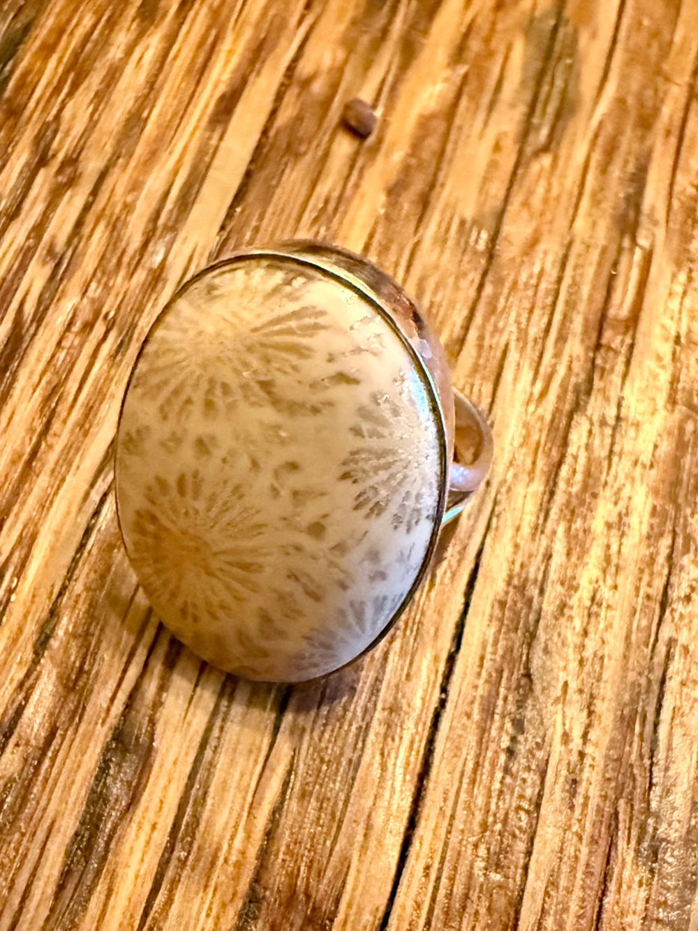 Silver Petosky Stone Oval Cocktail Ring